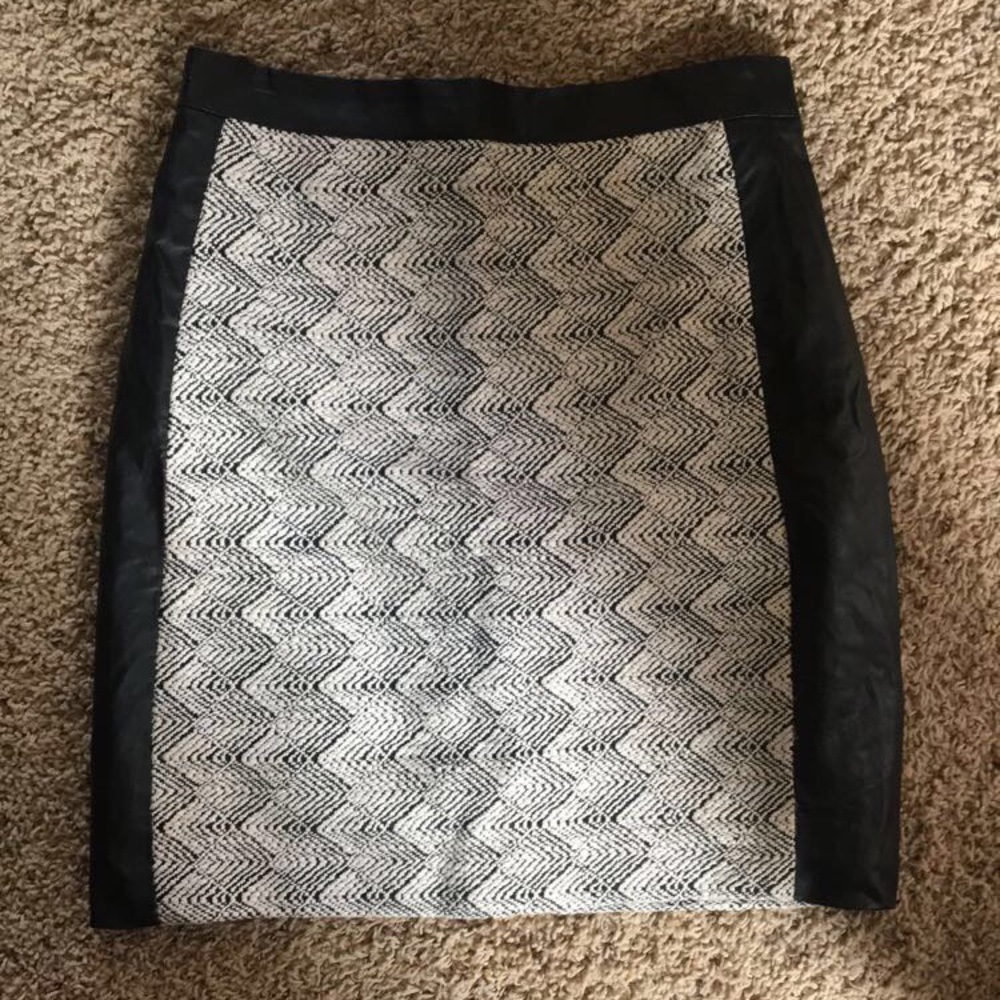 H&M Skirt